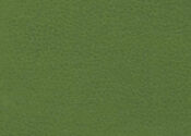 apple green apple green ultrafabric brisa original