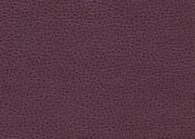 beet beet ultrafabric ultraleather promessa