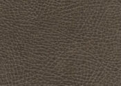 bison bison ultrafabric brisa distressed