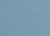 blue bird blue bird ultrafabric ultraleather pro