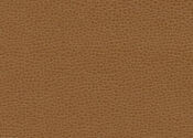 bronze bronze ultrafabric ultraleather promessa