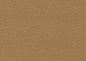 camel camel ultrafabric ultraleather promessa