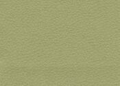 celery celery ultrafabric brisa original