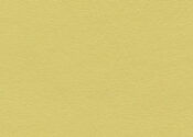 citrus citrus ultrafabric ultraleather original