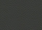 classic grey classic grey