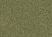 green tea green tea ultrafabric ultraleather pearlized