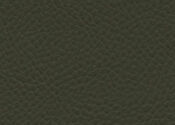 lichen lichen ultrafabric ultraleather tottori
