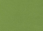scallion scallion ultrafabric ultraleather promessa