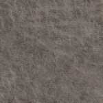 Northwest Paloma Grey